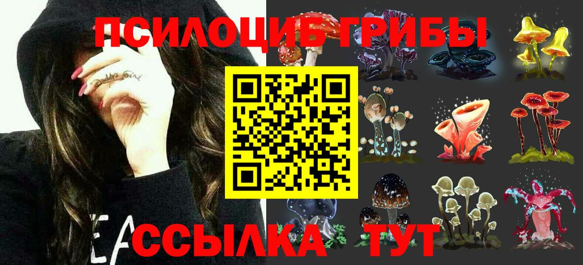 Псилоцибиновые грибы мицелий  даркнет сайт  Кубинка  Вход с VPN 